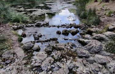 Cortijo de las cañadas - Foto 22