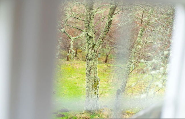 Westerpark Countryside Cottage Aswanley Aberdeenshire - Foto 71