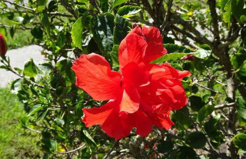 Florida Bella Rosa near IMG Academy & beaches - Foto 10