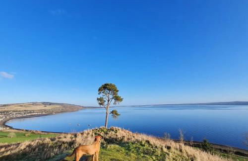 Old Tavern House - Foto 16