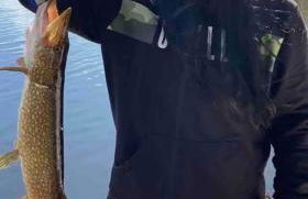 MoonLight Treehouse At Belgrade Hospitality - Foto 26