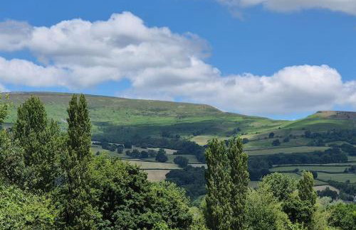 Little Plas - Foto 56