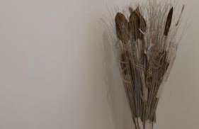 Irina Inn Bologna - Foto 14