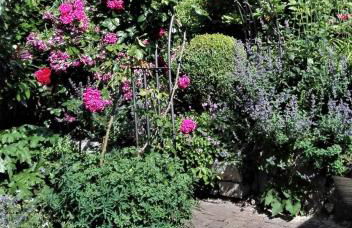 Anjas Ferienhaus Freiburg - Foto 19