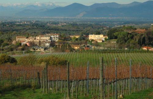 Ciglieri SantErmo Casciana Terme Lari PET&BIKE friendly FREE PARK - Foto 33