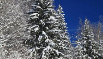 le refuge des Marmottes - Foto 4