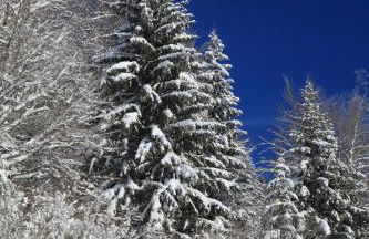 le refuge des Marmottes - Foto 4