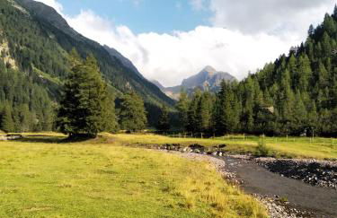 Mini Maule - Foto 37