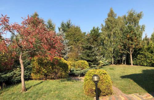 Willa Janka - Foto 17