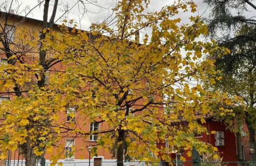 House Bologna Stazione Mazzini flat x 2 - Foto 24