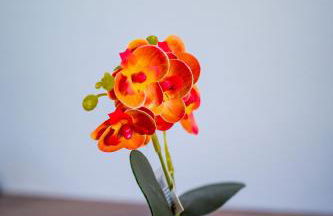 Flats 2 Locação Penedo RJ - Foto 7