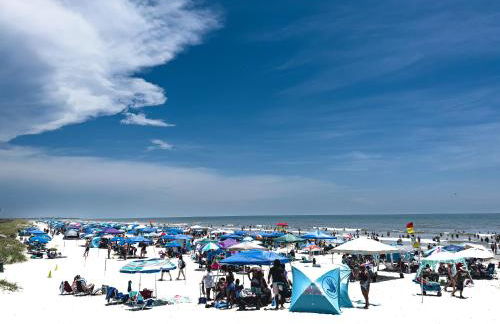 Palm Paradise - Foto 22