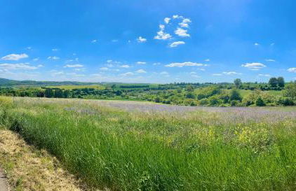 Ruhige Ferienwohnung auf dem Delcherhof in der Mosel-Weinregion - Foto 29