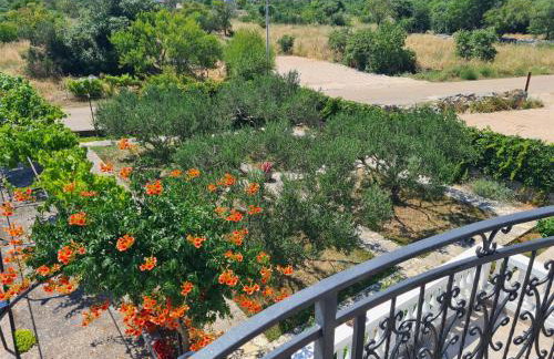 Primošten Apartman Dino - Foto 13