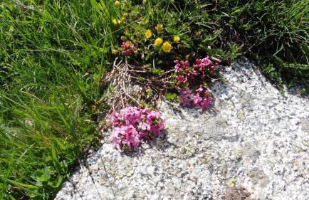 Apartamentos L´Era de Baix - Foto 69