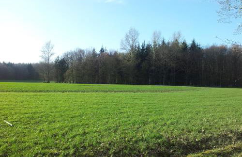 MOIN, MOIN & AHOI! - Foto 63