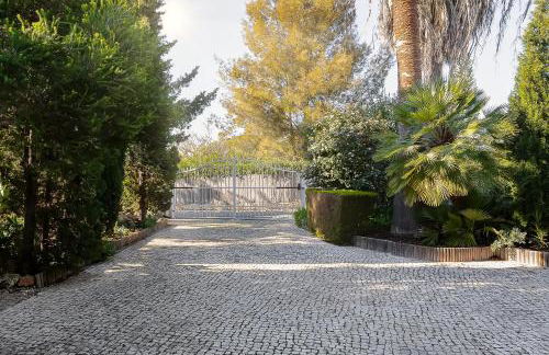 Casa Blanca - Foto 39