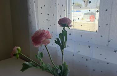 Casa Serra & Mar - Foto 18