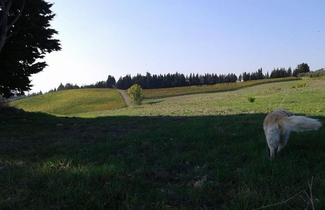 Casa Annick Holiday Home Chianti Area Florence - Photo 70