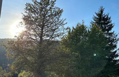 Casa vacanze Giuliani via Rasiglia - Photo 17