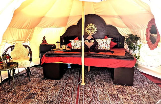 Unique Stargazing Escape With Ocean View - Foto 4