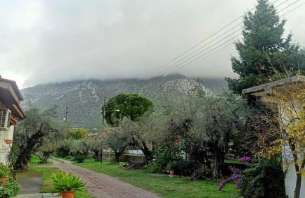 Nafpaktos cottage by the sea for travelers and dreamers! - Foto 16