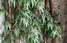 VistasAragon - Foto 6