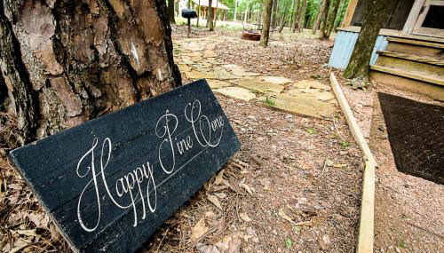 Happy Pine Cone - Foto 3