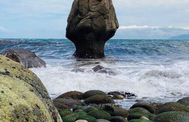 Casa do Souto - Foto 25