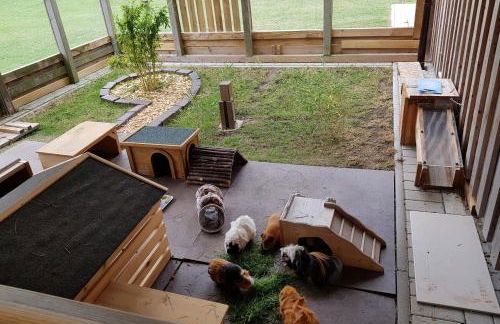 Fehmarnhaus 1 - Foto 22