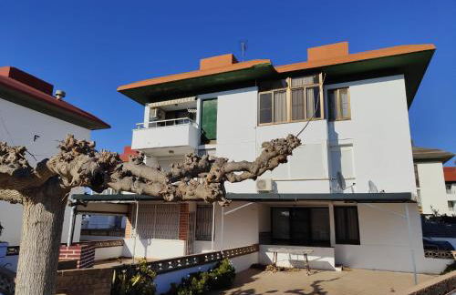 Arte y natura en la playa de Eucaliptus - Foto 1