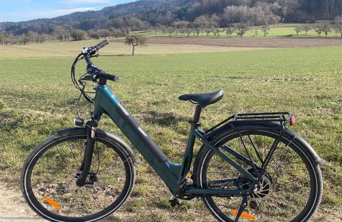 Bohlinger Hostel und Bike Verleih - Photo 18