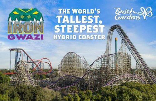 The Citrus Guesthouse in Tampa - Foto 26