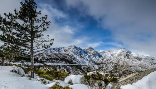 Cozy 2BR apartment in Loriga by Soulplaces - Foto 3