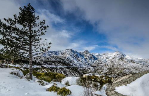 Cozy 2BR apartment in Loriga by Soulplaces - Foto 3