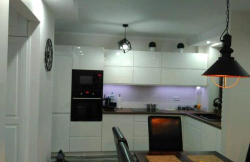 Bieszczady Apartament Gniazdo Baligród - Foto 1