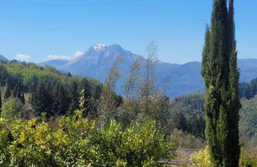 Villa Pavone - Foto 54