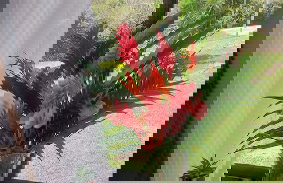 Villa Golondrina - Foto 17