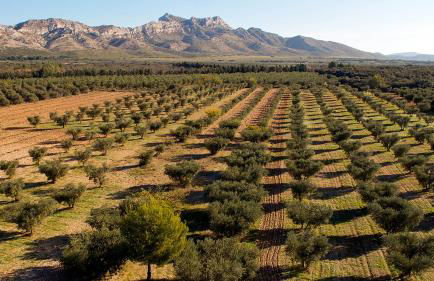 La Blanchère, vue golf - Foto 18