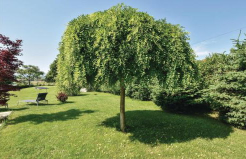 Two-Bedroom Holiday Home In Sinj - Foto 17