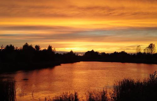 Agroturystyka Traperska Osada - Foto 19