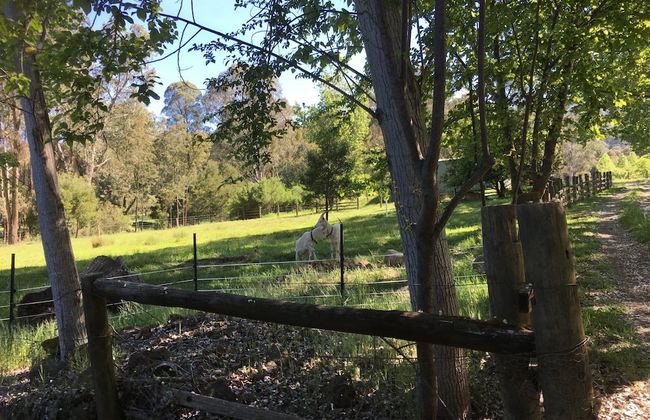 The Grange Homestead - Foto 42