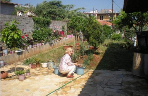 Petalidi Gedigio - Foto 1