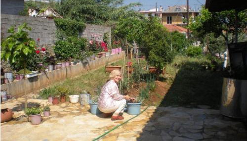 Petalidi Gedigio - Foto 1