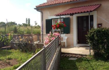 Holiday home "Goga" ruralna kuća - Foto 3