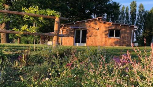 La Grenouillère - Foto 2