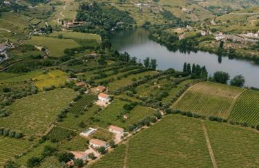 IMAGO Houses - Douro Valley - By MET - Foto 11