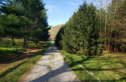 Swaying Pines Cabin w/EV Charger - Foto 34