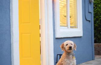 Mile to Beach! Fully Fenced Private SoCal Cottage - Photo 1