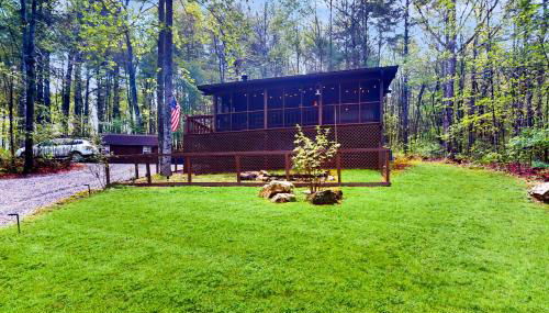 Bluebird Bliss - Foto 4